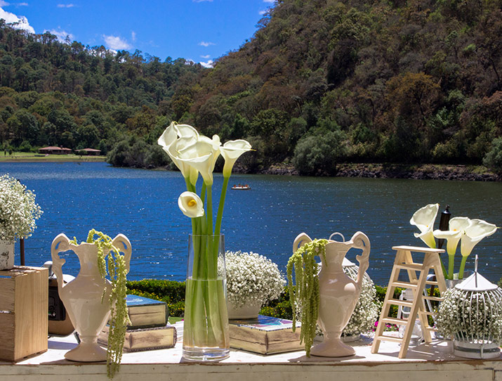 Amor en el lago