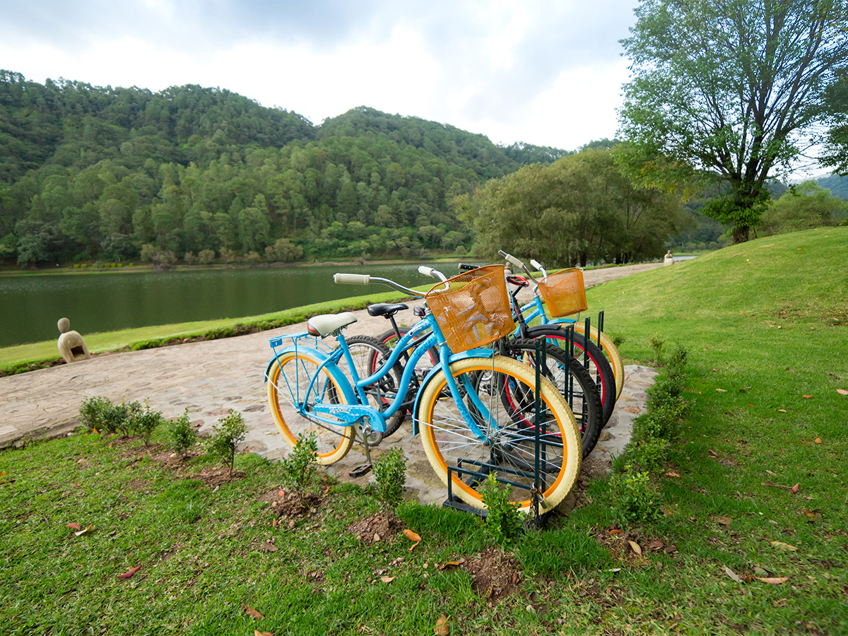 Bicicletas frente a un lago. 