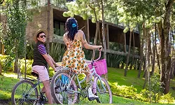 Paseo en bicicleta