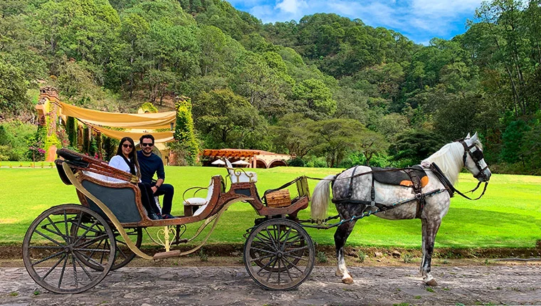 Venta especial de san valentin sierra lago resort mascota