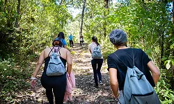 Caminata por la montaña