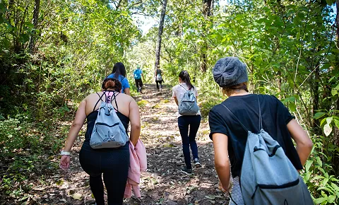 Caminata por la montaña