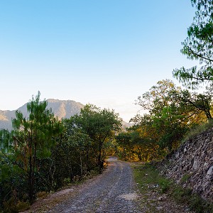 camino-a-sierra-lago-resort-masco-jalisco-1