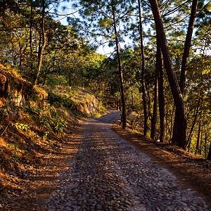 camino-a-sierra-lago-resort-masco-jalisco-3