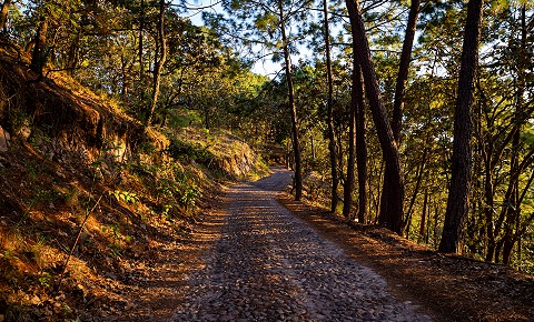 Camino a Sierra Lago