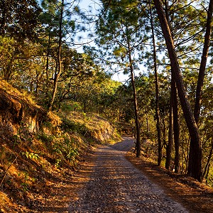 camino-a-sierra-lago-resort-masco-jalisco-4