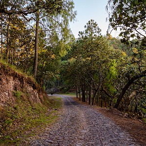 camino-a-sierra-lago-resort-masco-jalisco-6