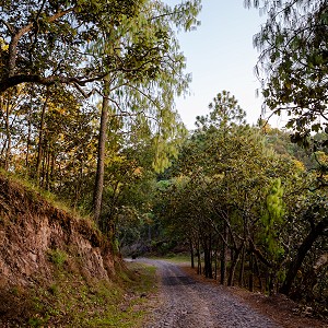 camino-a-sierra-lago-resort-masco-jalisco-7