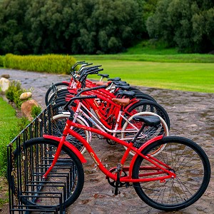 Paseo-Bicicleta