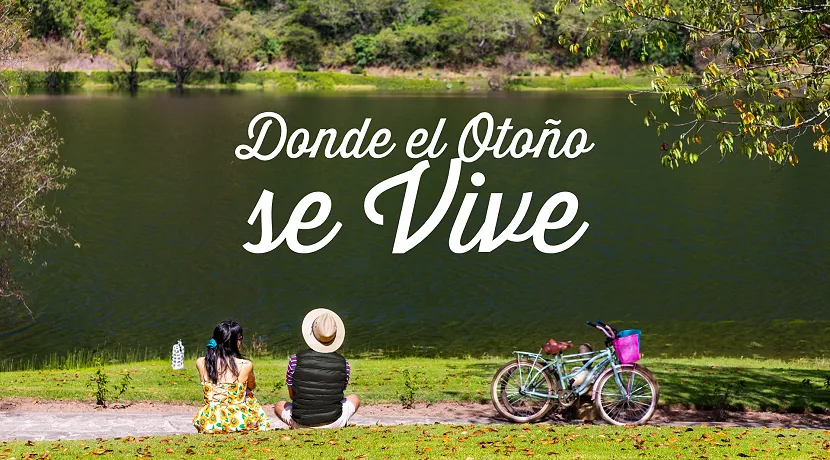 Este otoño ahorra hasta 29%