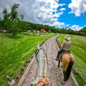 Paseos a caballo