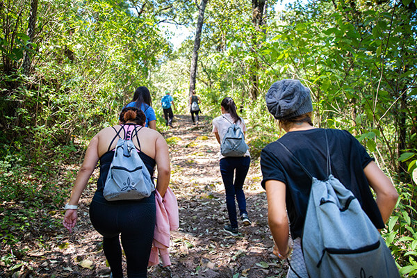 Menú Wellness Sierra Lago Resort