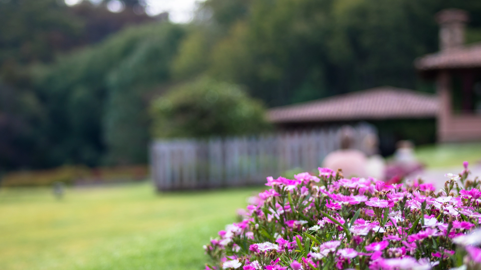 sierra lago spring sale