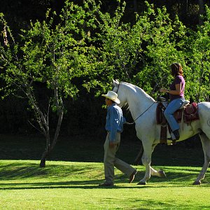 Paseos a caballo