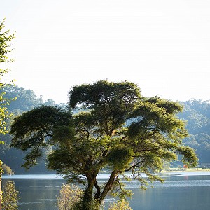 introduccion-al-bienestar-sierra-lago-resort-mascota-jalisco-14