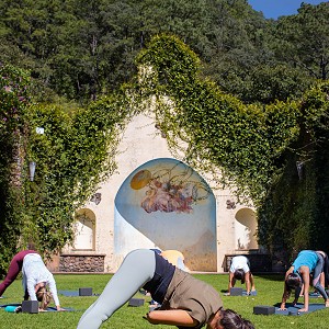Introducción al Bienestar - Sesión de yoga y relajación