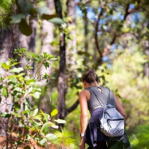 Introducción al Bienestar - Sesión de Hiking