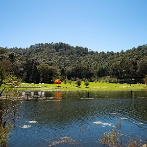 introduccion-al-bienestar-sierra-lago-resort-mascota-jalisco-80