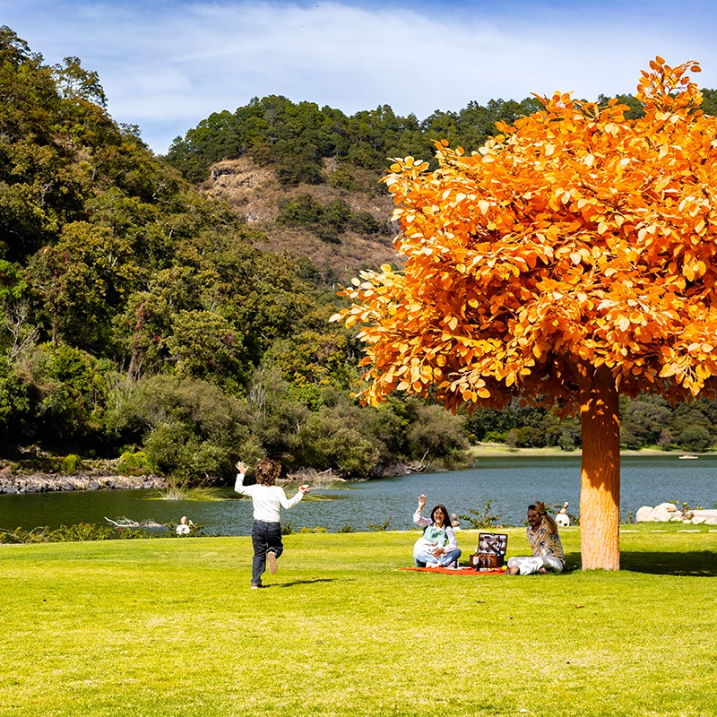 Momentos en familia, más fáciles de planear: los pequeños disfrutan su estancia y comidas sin costo, según disponibilidad y condiciones aplicables  (³)