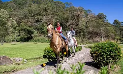 Paseos a caballo