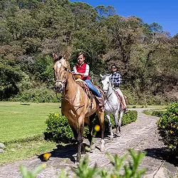 Paseos a caballo