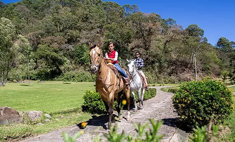 Paseos a caballo