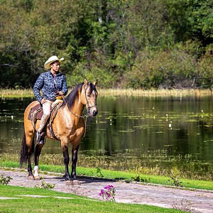 Paseos a caballo