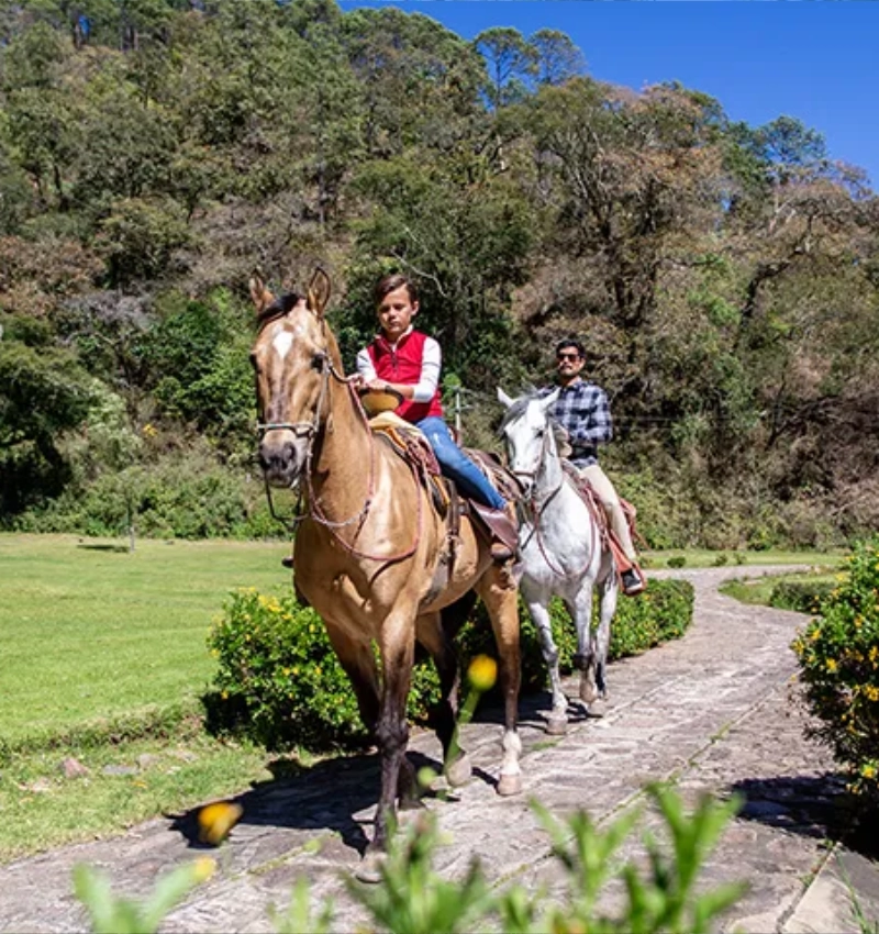 paseo a caballo