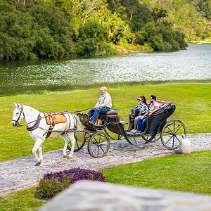 paseo-en-carruaje-sierra-lago-actividades