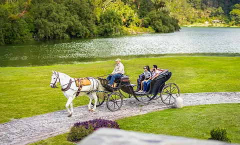 Carriage Ride