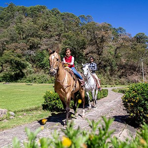 Paseo a caballo