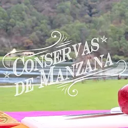 Preparación de Frutas en Conserva