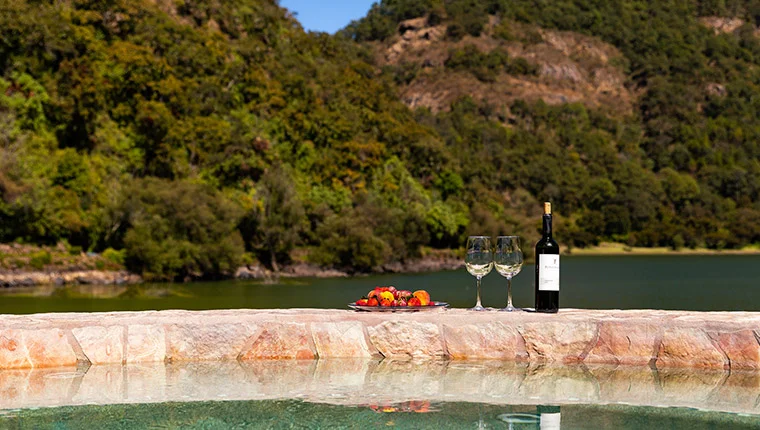 Venta especial de san valentin sierra lago resort mascota