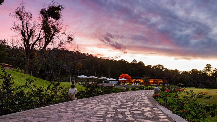 Venta especial de san valentin sierra lago resort mascota