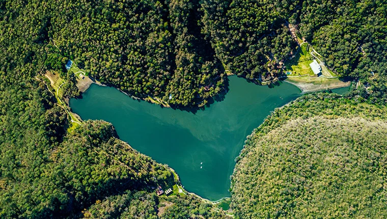 Venta especial de san valentin sierra lago resort mascota