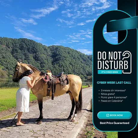 Venta Especial de Cyber Week